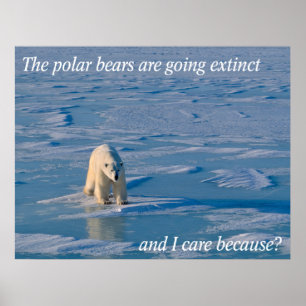 Anti-Polar-Bären Poster