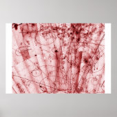 Anti-Problem Poster (Vorne)