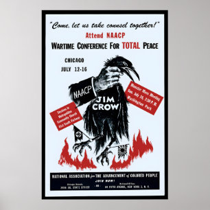 Anti-Rassismus- und Anti-Jim-Crow-Plakat NAACP Art Poster