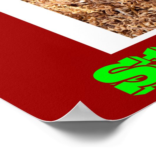 Anti-Raucher-Plakate auf Green Poster (Ecke)