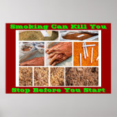 Anti-Raucher-Plakate auf Green Poster (Vorne)