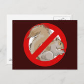 Anti-Squirrel Postkarte (Vorne/Hinten)