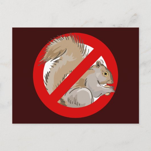 Anti-Squirrel Postkarte (Vorderseite)