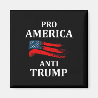 Anti-Trump Anti-Trump 2024 Amerikanische Flagge Magnet