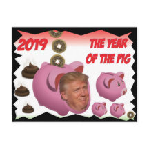 Anti Trump, - Das Jahr des Schweins - 2019,