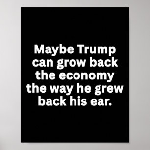 Anti-Trump Funny Sarcastic Political Humor Satire Poster