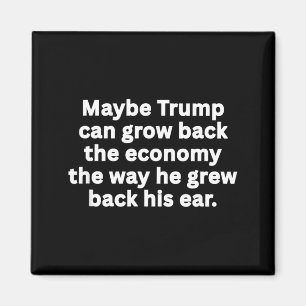 Anti-Trump lustige sarkastische politische Humor-S Magnet