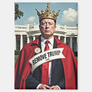 Anti-Trump-Musk Magnet