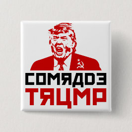 Anti-Trumpf Knopf" "KAMERAD TRUMP " Button