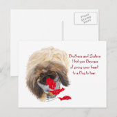 Anti Valentine Pekingese Feiertagspostkarte (Vorne/Hinten)