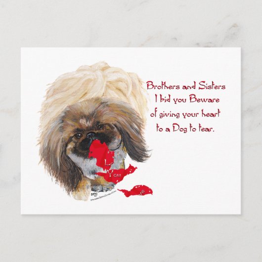 Anti Valentine Pekingese Feiertagspostkarte (Vorderseite)