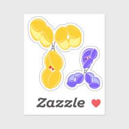 Antibody drug conjugate DAR2 at glycan Aufkleber