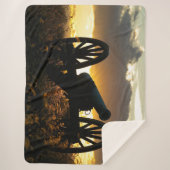 ANTIEDTAM SHERPADECKE (Vorderseite)