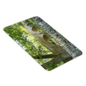 Antietam: Burnside's Bridge Foto Magnet (Rechte Seite)