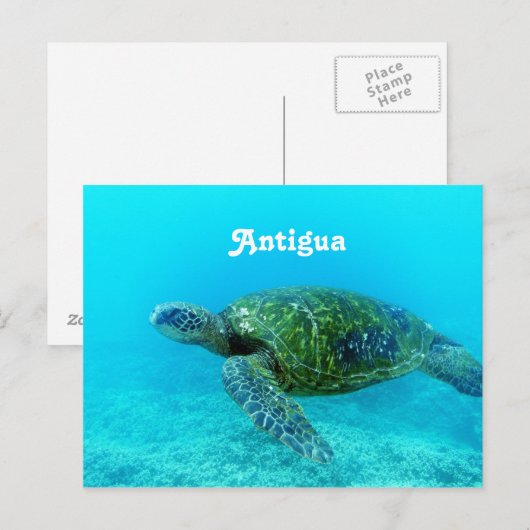 Antigua Hawk Billed Turtle Postkarte (Vorne/Hinten)