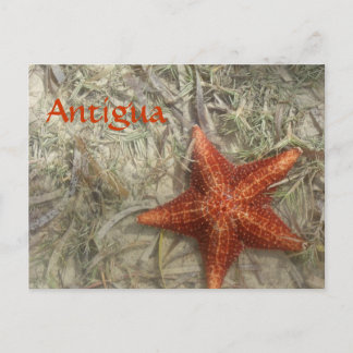 Antigua Starfish Postkarte