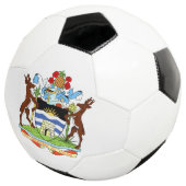 Antigua- und Barbuda-Emblem Fußball (Dreiviertel)