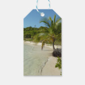 Antiguan Strand Schöne tropische Landschaft Geschenkanhänger (Vorderseite)