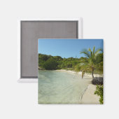 Antiguan Strand Schöne tropische Landschaft Magnet (Vorderseite/Rückseite)