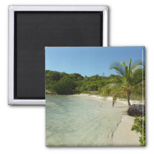 Antiguan Strand Schöne tropische Landschaft Magnet