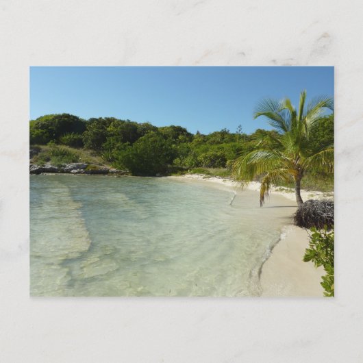 Antiguan Strand Schöne tropische Landschaft Postkarte (Vorderseite)
