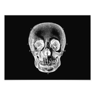 Antik 1800er Schädel Retro Anatomisch Schwarz Weiß Fotodruck