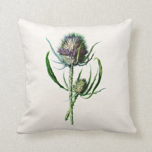 Antik 1902 Alte Schottische Distel Wilde Blume Kissen