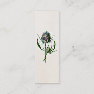 Antik 1902 Alte Schottische Distel Wilde Blume Mini Visitenkarte