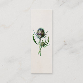 Antik 1902 Alte Schottische Distel Wilde Blume Mini Visitenkarte