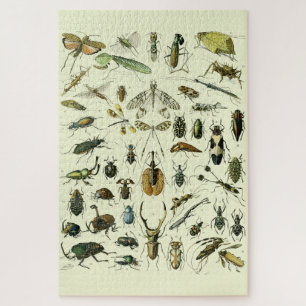 Antik Insekten Puzzle