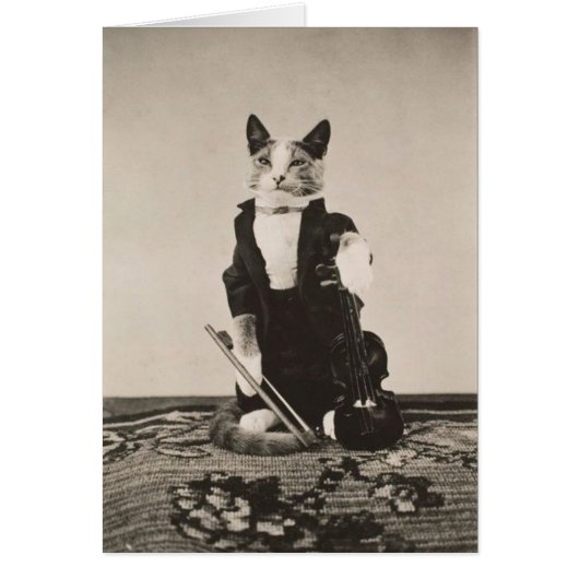 Antik - Katzenviolinist, (Vorne)
