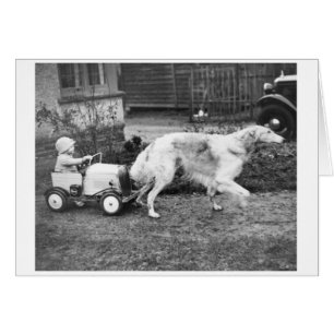 Antik - Kinderwagen gezogen von Hund,