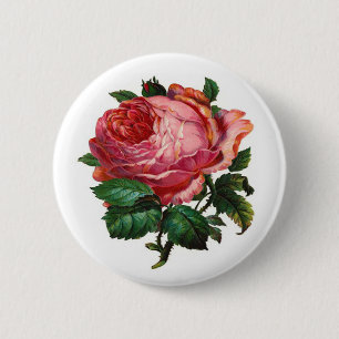 ANTIK-ROSA-ROSE BUTTON