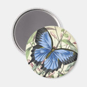 Antik Schmetterling Magnet (Vorderseite/Rückseite)