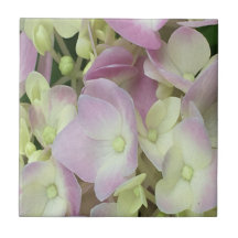 Antik Weiß und Dusty Pink Hydrangea Petals