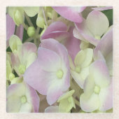 Antik Weiß und Dusty Pink Hydrangea Petals Glasuntersetzer (Vorderseite)