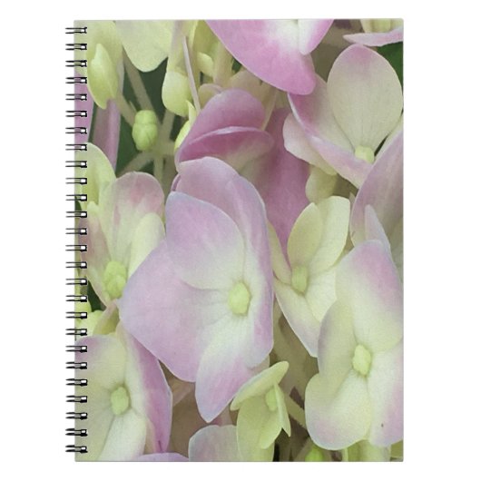 Antik Weiß und Dusty Pink Hydrangea Petals Notizblock (Vorderseite)