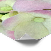 Antik Weiß und Dusty Pink Hydrangea Petals Poster (Ecke)