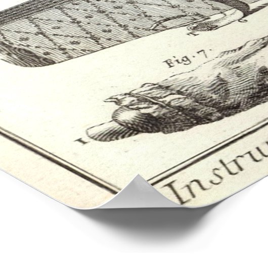 Antike 1769 Bagpipe & Wind Instruments Poster (Ecke)