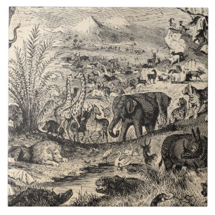 Antike afrikanische Tierillustrationen aus dem 19. Fliese