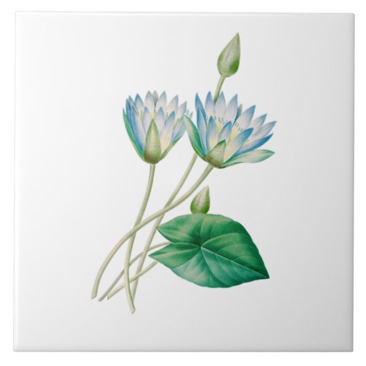 Antike ägyptische Lotusblume Fliese (Vorderseite)