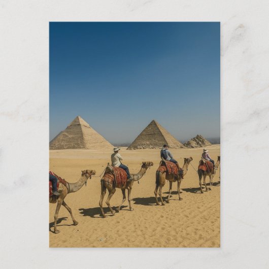 Antike ägyptische Pyramiden Wüstenkamelritt Postkarte (Vorderseite)