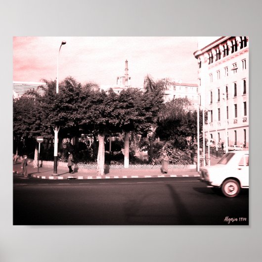 Antike Algerien Algier Autos Gebäude Poster (Vorne)