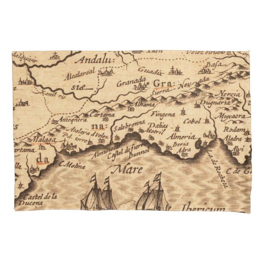 Antike Alte Karte Inspiriert (3) Kissenbezug (Vorderseite-Links)