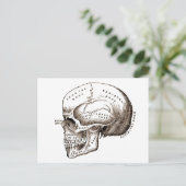 Antike Anatomie Anatomischer Schädel Postkarte (Stehend Vorderseite)