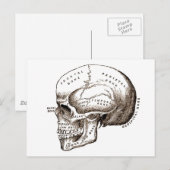 Antike Anatomie Anatomischer Schädel Postkarte (Vorne/Hinten)