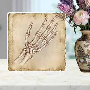 Antike anatomische Handknochen-Tuschezeichnung Sep Fliese