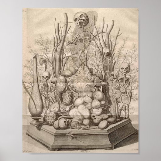 Antike anatomische Illustration Poster (Vorne)