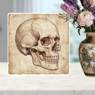 Antike anatomische Schädel-Tuschezeichnung Sepia Fliese