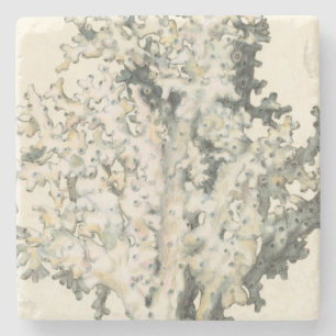 Antike Aquarell-Koralle Steinuntersetzer